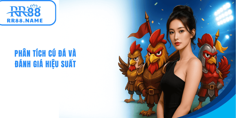 Phân tích cú đá và đánh giá hiệu suất của gà